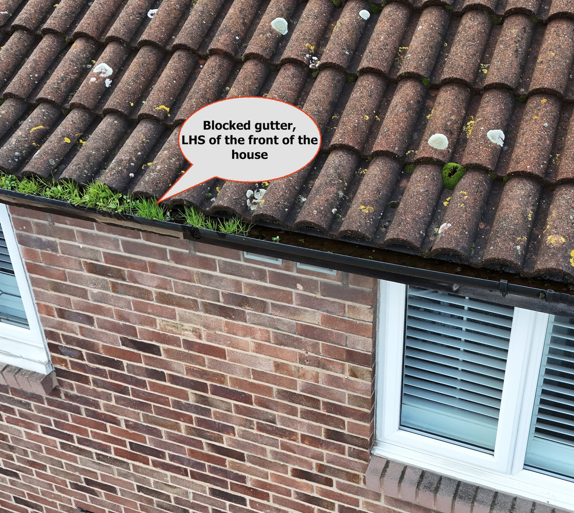 Practical Tips for Annotating Survey Photographs: CLEAR
